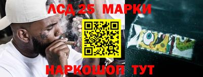 прущие грибы Гатчина