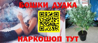 прущие грибы Гатчина