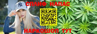 прущие грибы Гатчина