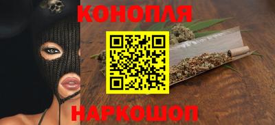прущие грибы Гатчина