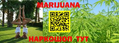 прущие грибы Гатчина