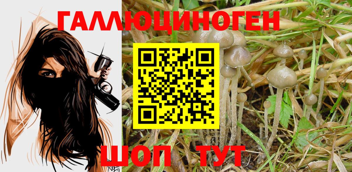 Северск  Псилоцибиновые грибы Magic Shrooms  Вход с VPN  Галлюциногенные грибы прущие грибы 